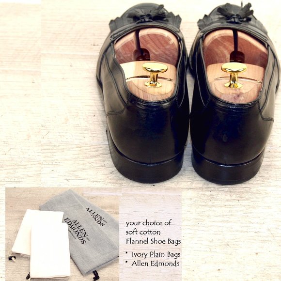 Mezlan LIZARD Saks Fifth Ave 9 M Allen Edmonds main image 5